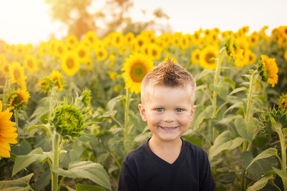 una imagen de un niño en un campo de girasoles