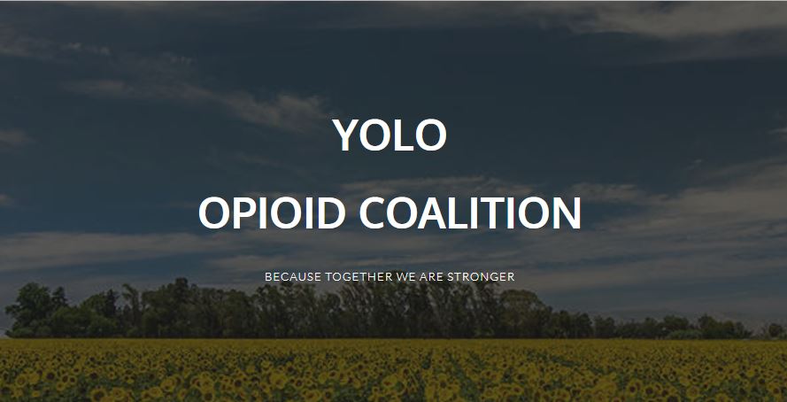Yolo opioid coalition banner with field and trees in the background